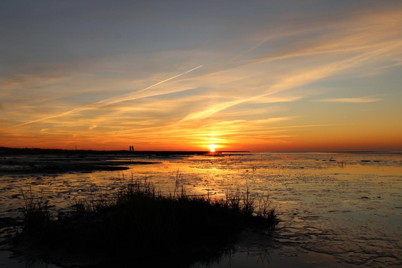 Kleiner Seestern Cuxhaven Kültér fotó